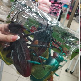 Set de insectos grandes