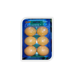 Pelota de Ping Pong
