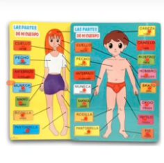 TABLA EDUCATIVA